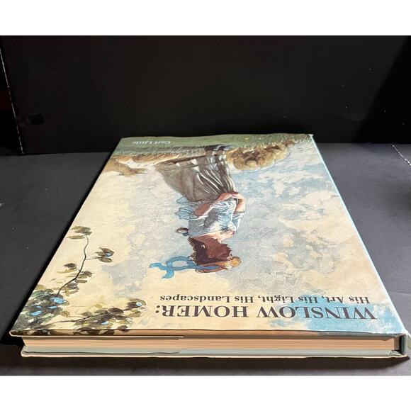 Winslow Homer: His Art, His Light, His Landscapes by Carl Little 1995, Hardcover - Picture 3 of 7